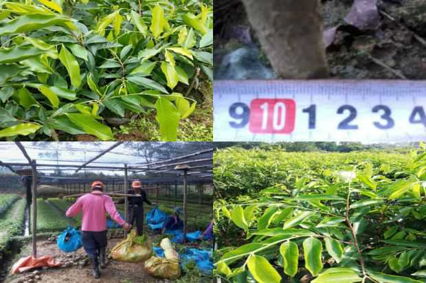 Pod Ziwei创新工场的第一个鸡蛋_no.129