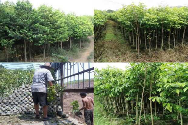 女人雪霸和紫微爵士展现了爱的传奇_no.259